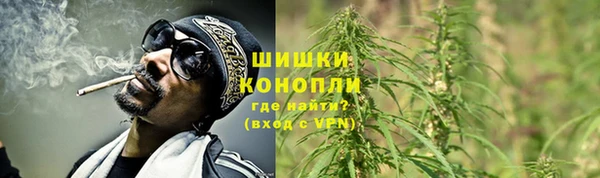 шишки Аркадак