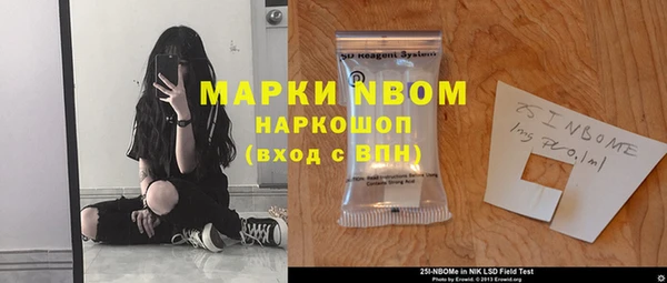 шишки Аркадак