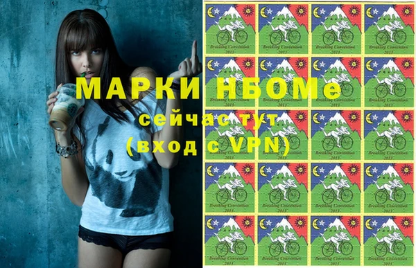 шишки Аркадак
