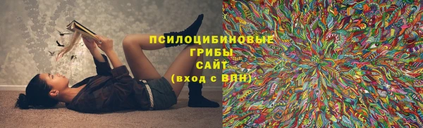 шишки Аркадак