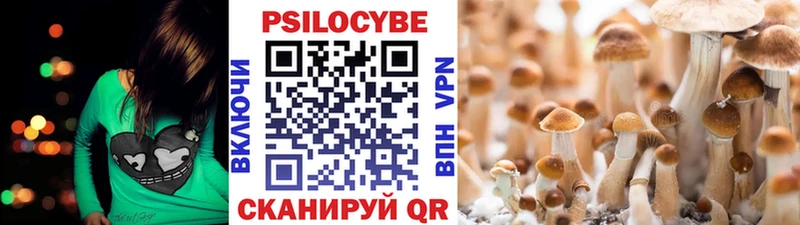 Галлюциногенные грибы Magic Shrooms  Жиздра 