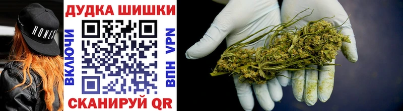 гидра как войти Жиздра Бошки марихуана индика